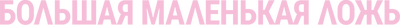 Большая маленькая ложь