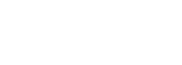 Полет Конкордов