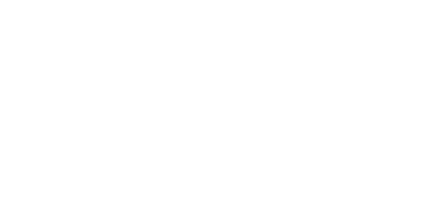 Темные начала