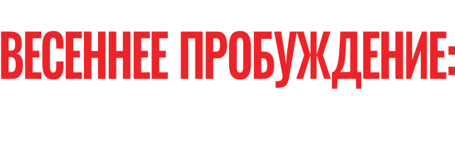 Весеннее пробуждение: Те, кого ты знал