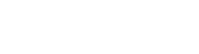 Дэвид Маккало: Рисуя историю