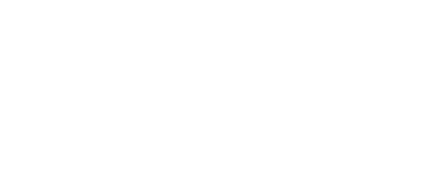 Проект «Токио»
