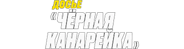 Досье «Чёрная канарейка»