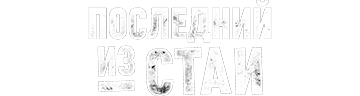 Последний из стаи