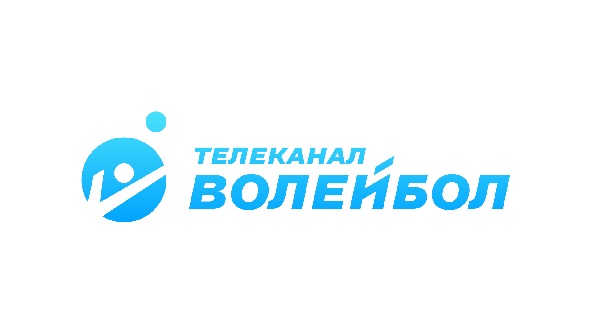 Volleyball logo