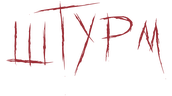 Штурм