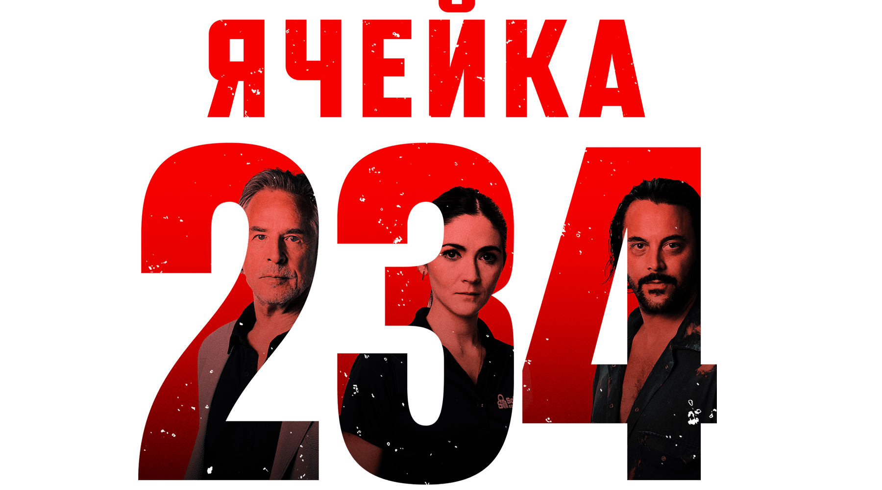 Ячейка 234