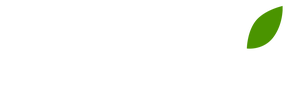 Последний из Магикян